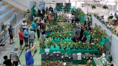 Valinhos recebe o 8º Festival de Orquídeas