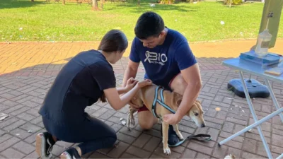Cosmópolis imuniza pets contra a raiva em evento na Praça da Cosmo