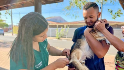 Dia ‘D’ acontece neste sábado para vacinação contra raiva em cães e gatos