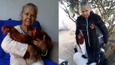 Meu animal, meu xodó