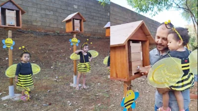 Escola desenvolve meliponário e incentiva educação ambiental com abelhas sem ferrão