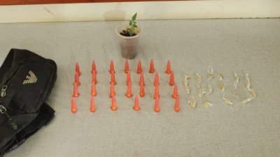 Porções de cocaína e crack e uma muda de ‘cannabis’ são encontradas em mata