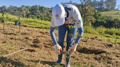 Equipe do De Olho nos Rios e comunidade rural de Cosmópolis fazem manutenção da restauração florestal do Córrego Jacutinga