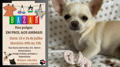 Mudando Destinos promove bazar beneficente em prol dos animais