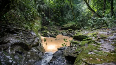 King Academy organiza trilha para Cachoeira da Bepa em parceria com Turismo Cosmópolis
