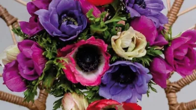 Novidades em flores, plantas, decoração e jardinagem são apresentadas em Holambra