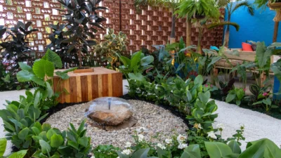 Mostra de Paisagismo da Expoflora 2024, reforça a importância das conexões, seja entre as pessoas ou com a natureza