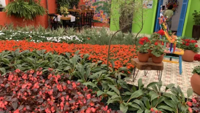 Confira a galeria de fotos da 41ª edição da Expoflora