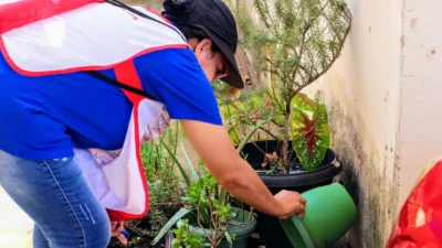 Prefeitura de Cosmópolis realiza mutirão da dengue neste fim de semana