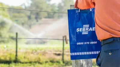 Sebrae-SP abre 20 vagas para produtores rurais da região de Campinas em programa gratuito de inovação