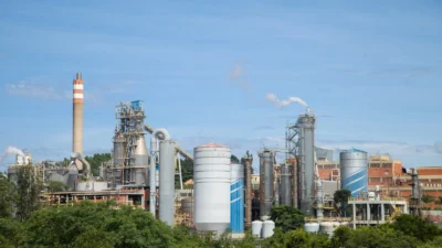 Suzano abre inscrições para o Programa de Trainee 2025