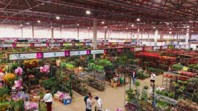 Ao completar cinco anos, Ceaflor ratifica-se como o maior mercado de flores, plantas e acessórios do Brasil