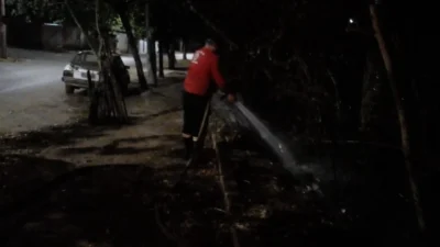 Incêndio atinge vegetação de mata na noite de terça-feira no Parque Ester