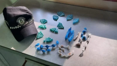 Guarda Municipal localiza drogas escondidas em planta em Condomínio