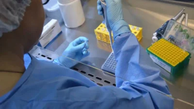 Nova variante da COVID-19 é identificada no Brasil e monitorada pela OMS