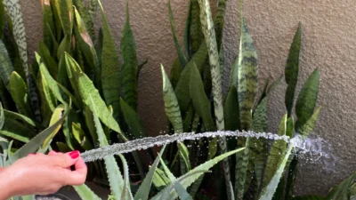 Cosmópolis entra em ‘Calamidade pública e hídrica’: está proibida a utilização de água tratada para lavagem de calçadas, quintais e outros fins desnecessários