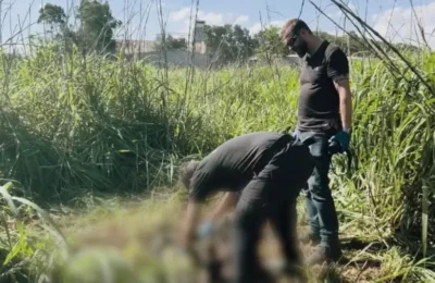 Aparecimento de ossada humana em Betel é investigada pela Polícia Civil de Paulínia.