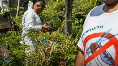 Brasil acumula mais de 6,5 milhões de casos prováveis de dengue ao longo deste ano