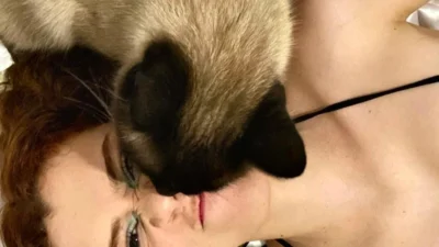 Meu animal, meu xodó