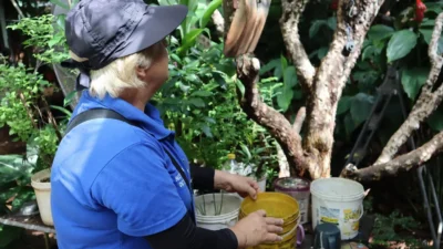 Agentes de Saúde intensificam combate ao Aedes aegypti