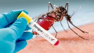 Brasil registra quase 50 mil casos prováveis de dengue em 2025