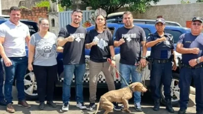 Pitbull vítima de maus-tratos é resgatado pela GM