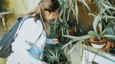 Paulínia receberá repasse de R$ 572,5 mil do estado para combate à dengue