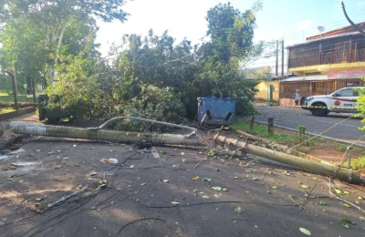 Forte chuva derruba árvores e postes em Paulínia