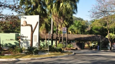 Parque Ecológico de Americana é fechado após ataque de abelhas contra funcionários e aves