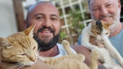Meu animal, meu xodó