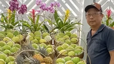 Produtor de Cosmópolis conquista 1º lugar na Expogoiaba de Valinhos