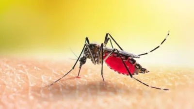 Oito cidades da região terão apoio emergencial do Ministério da Saúde contra a dengue