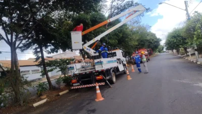 Gato é resgatado de árvore de mais de 10 metros