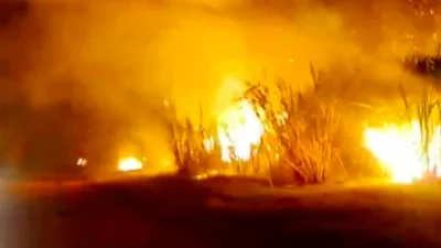 Incêndio atinge área de cana-de-açúcar na zona rural de Cosmópolis