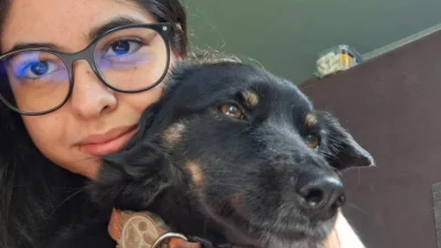 Meu animal, meu xodó