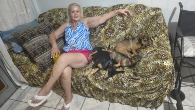 Meu animal, meu xodó