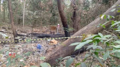 Cadáver é encontrado em rio de Campinas; ossada, em área de mata de Jaguariúna