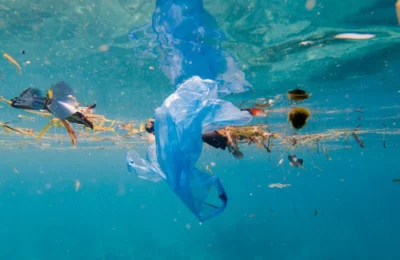 Estudo aponta que quase metade dos ambientes aquáticos do mundo está contaminada por lixo