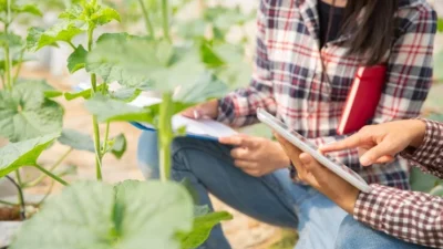 Ciaterh Agro Service abre vagas com benefícios atrativos