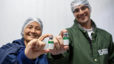 Brasil deve iniciar em dezembro a aplicação da primeira vacina de dose única contra a dengue