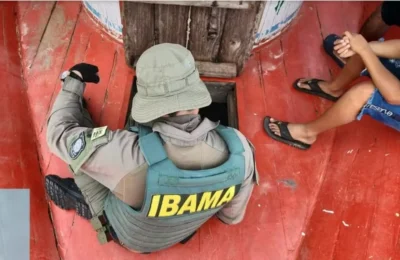 Golpe do falso concurso faz Ibama emitir alerta; entenda o caso e veja como se proteger