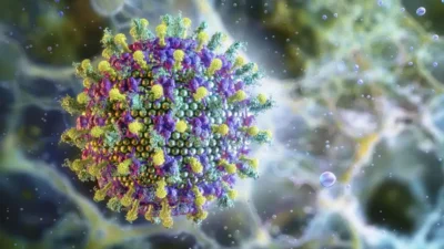 Surto do vírus Nipah aumenta preocupação de autoridades sanitárias internacionais