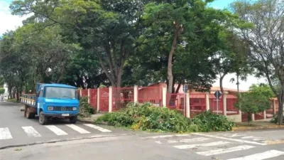 Prefeitura orienta como solicitar poda e remoção de árvores