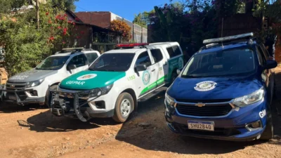Ação conjunta encontra possível rinha de galos em Cosmópolis
