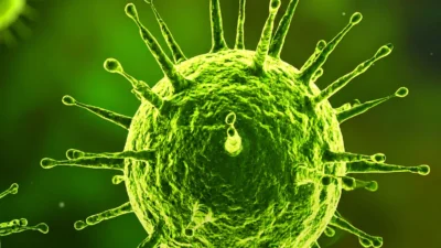 OMS monitora casos de hantavírus em cruzeiro, mas descarta risco de pandemia