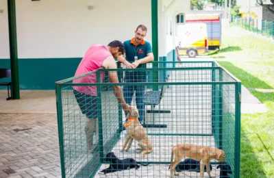 Paulínia promove feiras de adoção de animais durante o mês de maio