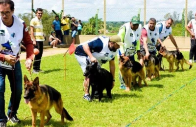 Campeonato Brasileiro de Adestramento IGP 2026 acontecerá em Artur Nogueira