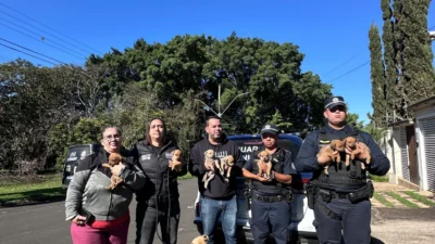Denúncia de maus-tratos leva ao resgate de cadela e sete filhotes na Avenida Ester