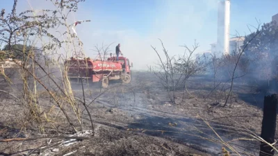 Incêndio em vegetação ameaça prédios e mobiliza Defesa Civil