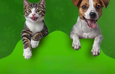 Feira de adoção leva cães e gatos ao Parque Zeca Malavazzi durante todo o mês de agosto